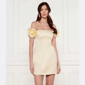Elisabetta Franchi Sukienka