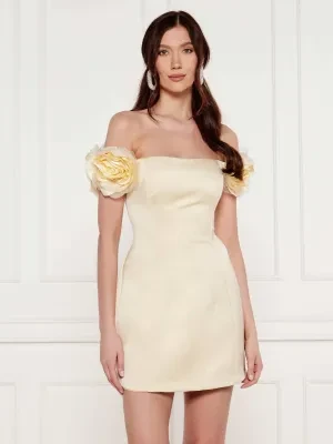 Elisabetta Franchi Sukienka