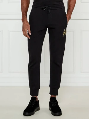 Emporio Armani Spodnie dresowe Lunar New Year | Regular Fit czarny