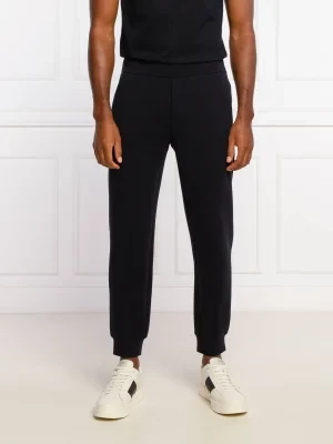 Emporio Armani Spodnie dresowe | Regular Fit