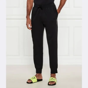 Emporio Armani Spodnie dresowe | Regular Fit