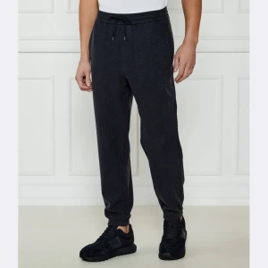 Emporio Armani Spodnie dresowe | Regular Fit