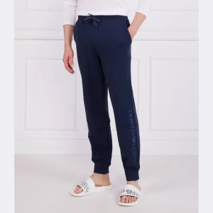 Emporio Armani Spodnie dresowe | Regular Fit