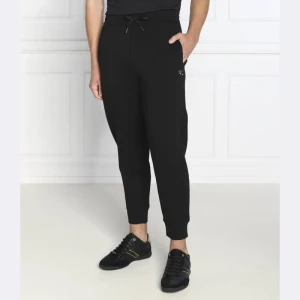 Emporio Armani Spodnie dresowe | Regular Fit