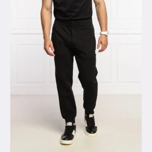 Emporio Armani Spodnie dresowe | Regular Fit