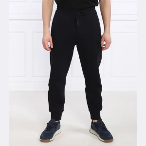 Emporio Armani Spodnie dresowe | Regular Fit