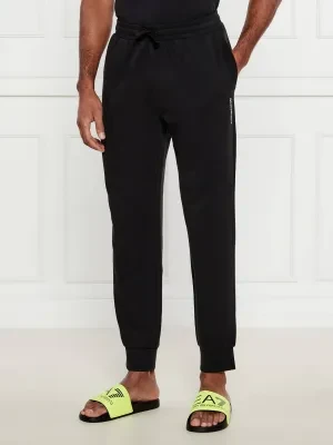 Emporio Armani Spodnie dresowe | Regular Fit