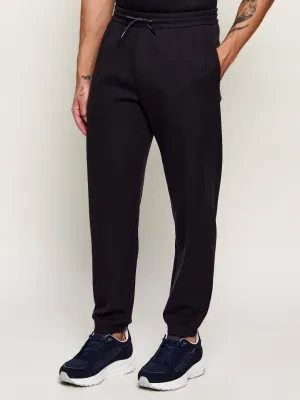 Emporio Armani Spodnie dresowe | Regular Fit