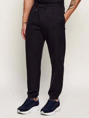 Emporio Armani Spodnie dresowe | Regular Fit