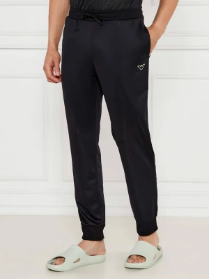 Emporio Armani Spodnie dresowe | Regular Fit