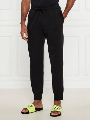 Emporio Armani Spodnie dresowe | Regular Fit czarny