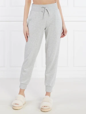 Emporio Armani Spodnie dresowe | Regular Fit szary