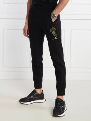 Emporio Armani Spodnie dresowe | Regular Fit