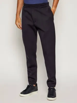 Emporio Armani Spodnie dresowe Travel Essentials | Regular Fit | z dodatkiem wełny