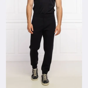 Emporio Armani Spodnie | Regular Fit