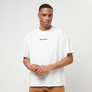 Dickies Enterprise Shortsleeve Tee mężczyźni T-Shirty i Polo biały rozmiar Odzież