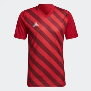 Entrada 22 Graphic Jersey Adidas