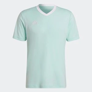 Entrada 22 Jersey Adidas