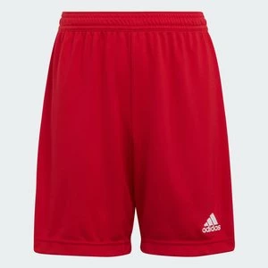 Entrada 22 Shorts Adidas