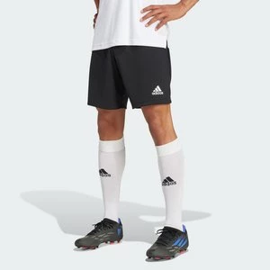 Entrada 22 Shorts Adidas