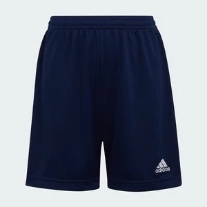 Entrada 22 Shorts Adidas