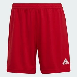 Entrada 22 Shorts Adidas
