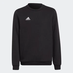Entrada 22 Sweat Top Adidas czarny