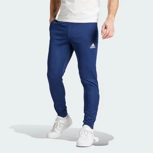 Entrada 22 Training Pants Adidas