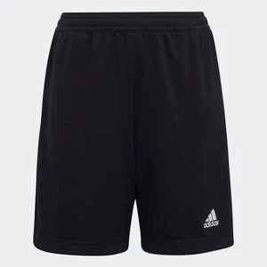 Entrada 22 Training Shorts Adidas