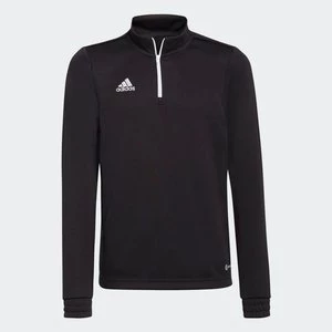 Entrada 22 Training Top Adidas