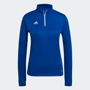 Entrada 22 Training Top Adidas Royal Blue