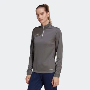 Entrada 22 Training Top Adidas Team Grey Four