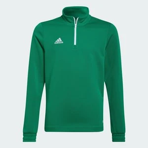 Entrada 22 Training Top Adidas