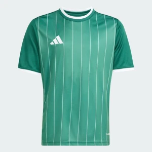 Entrada26 Graphic Jersey Kids Adidas zielony