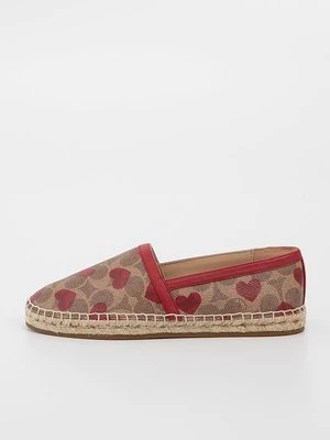 Espadryle Coach