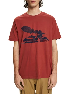 ESPRIT Koszulka w kolorze brązowoczerwonym rozmiar: M