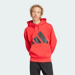 Essentials Big Logo Fleece Hoodie Adidas