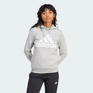 Essentials Logo Fleece Hoodie Adidas