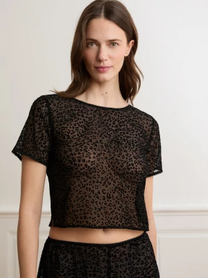 Etam - ETAM655819105006