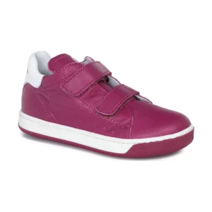 FALCOTTO Trampki Smith