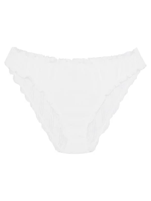 Figi Bloovii Malesia P