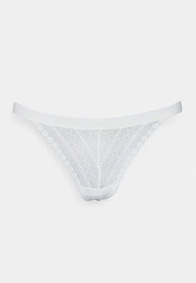 Figi dkny intimates