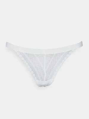 Figi dkny intimates