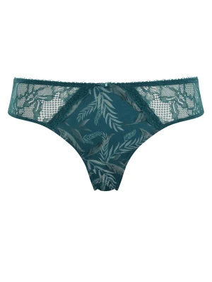 Figi jasmine Panache