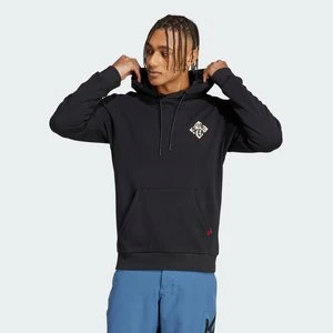 Five Ten Graphic Hoodie Adidas