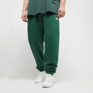 Fleece Jogger, markiNew Balance, Spodnie dresowe, w kolorze zielony, rozmiar: