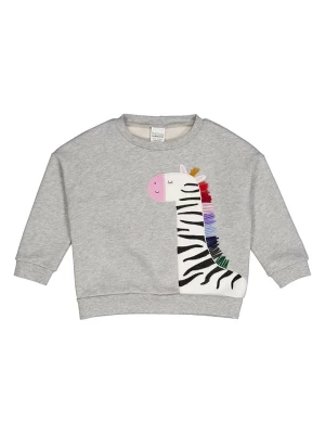 Fred´s World by GREEN COTTON Bluza "Hello Zebra" w kolorze szarym rozmiar: 116