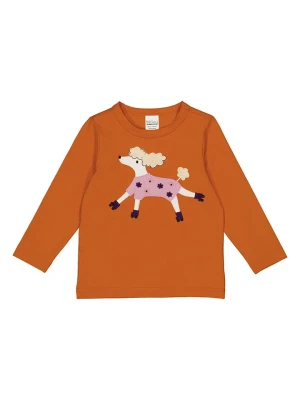 Fred´s World by GREEN COTTON Koszulka "Hello poodle" w kolorze pomarańczowym rozmiar: 98