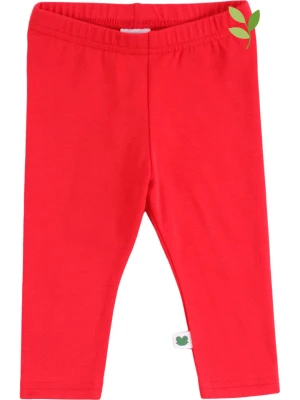 Fred´s World by GREEN COTTON Legginsy w kolorze czerwonym rozmiar: 92