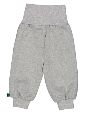 Fred´s World by GREEN COTTON Spodnie dresowe "Alfa" w kolorze szarym rozmiar: 92